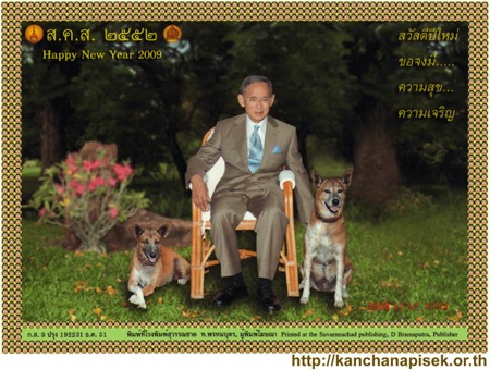 kingscard-2009 kingscard-2009